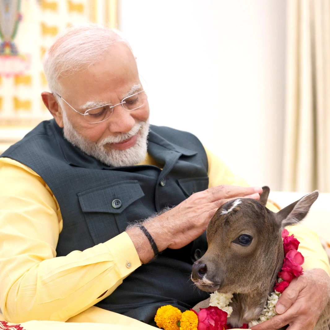 Pashu jobs 2025: कैसे करें आवेदन और क्या हैं अवसर?