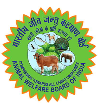Logo 6